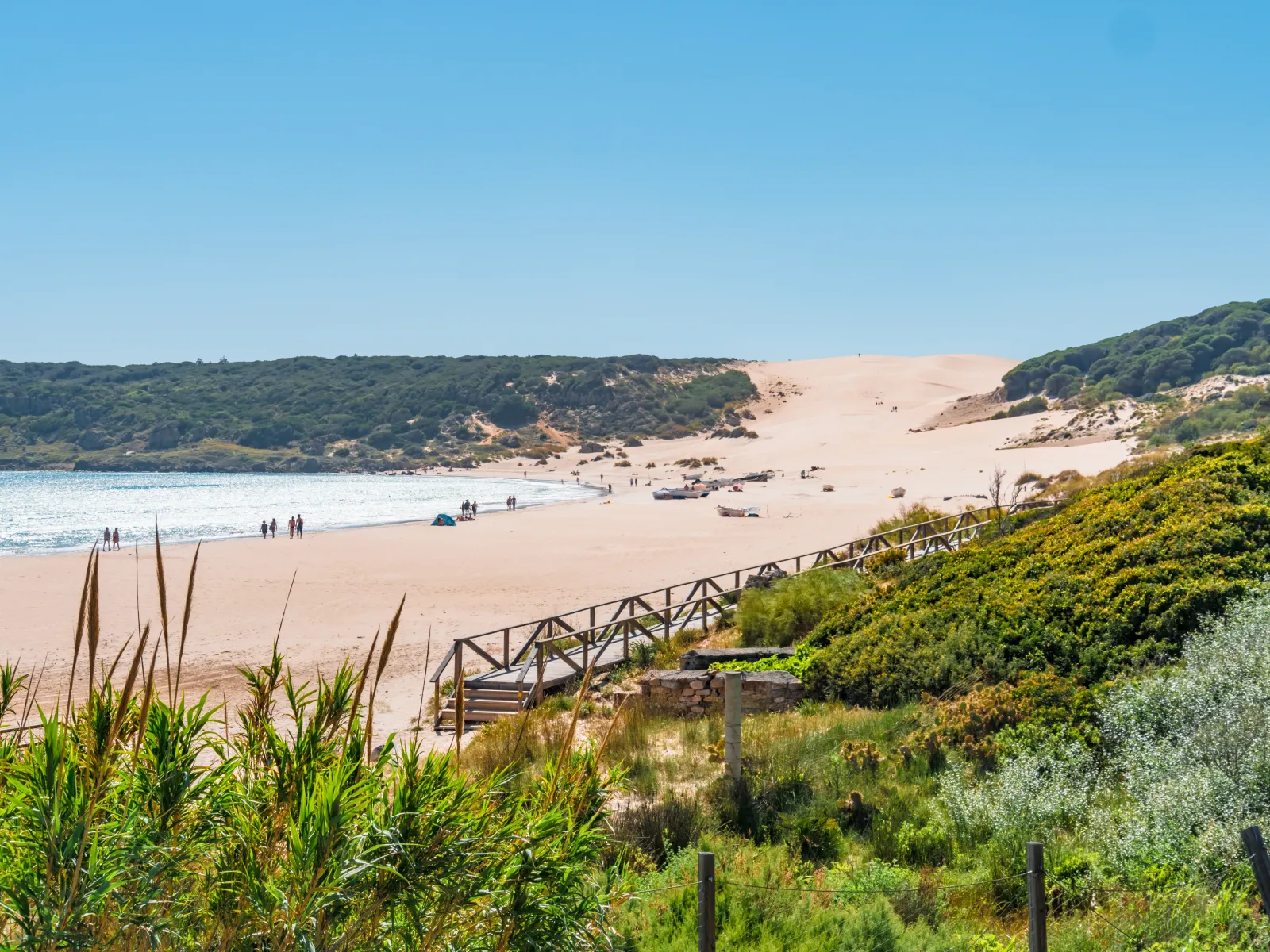 Bolonia beach and its giant sand dune near Tarifa, with a wooden walkway through the greenery