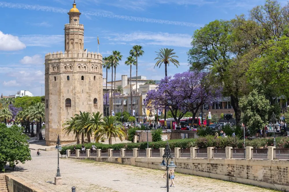 La Torre del Oro rodeada de palmeras y jacarandas en Sevilla