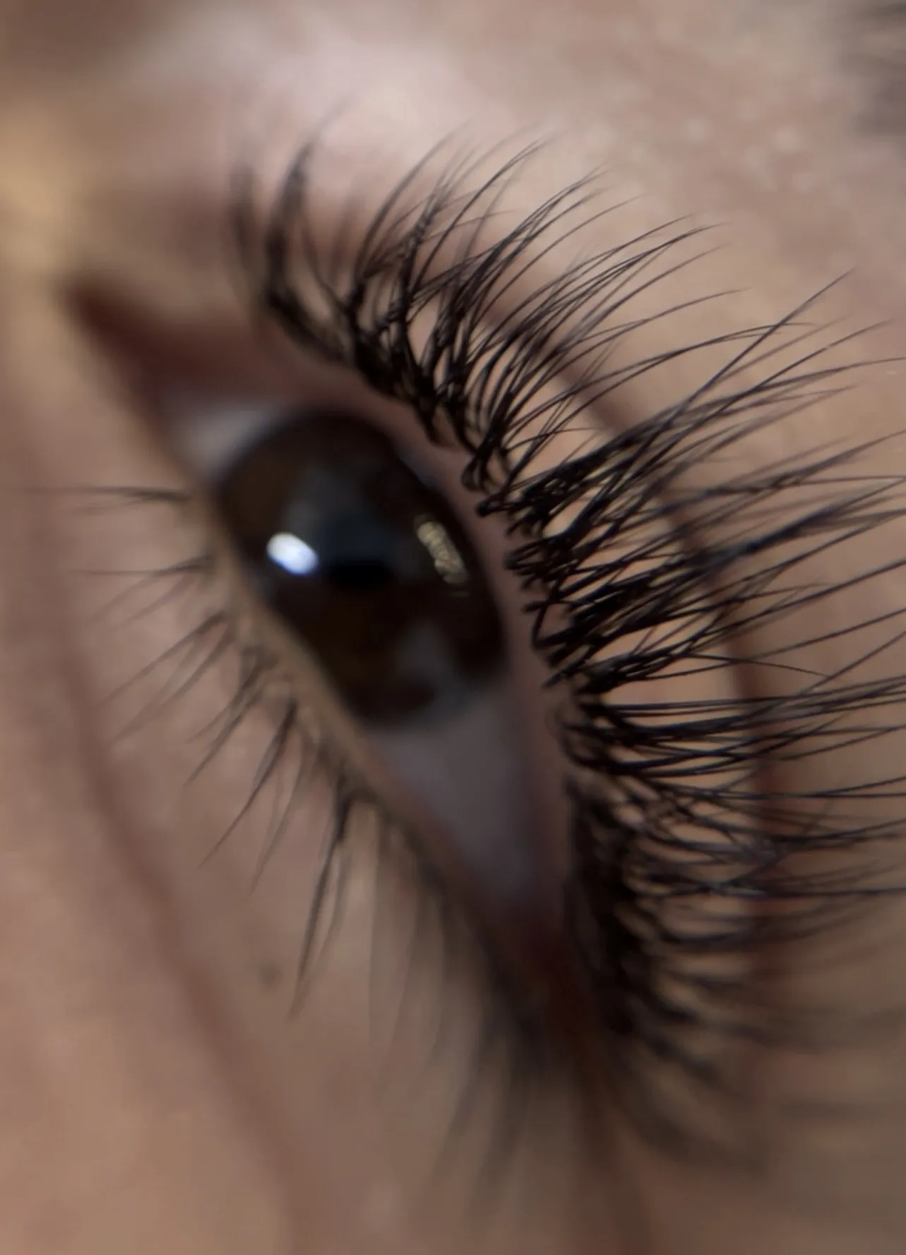 Beauty Marbella I Mobile beauty & aesthetic · Lashes and brows in Marbella